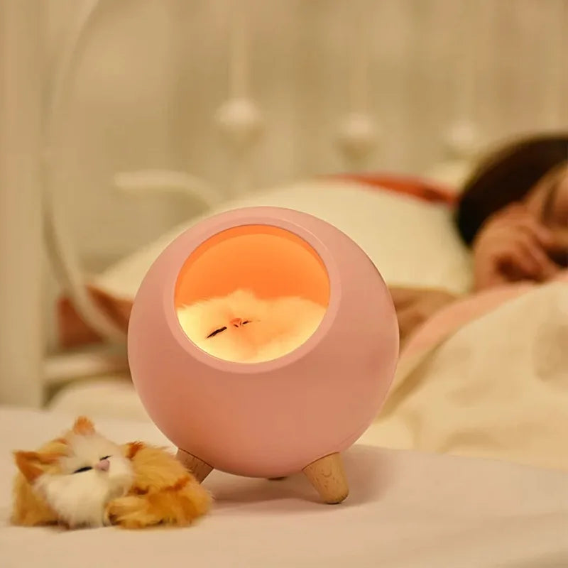 Creative Cute Cat Room Night Light Cute Cat Bedhead Sleep Light USB Charging Touch Atmosphere Light